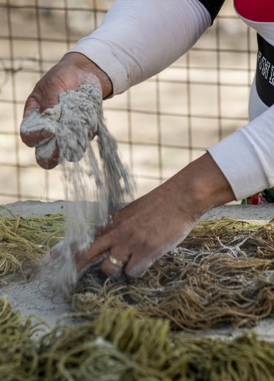Materia Prima | Chaguar – Matriarca